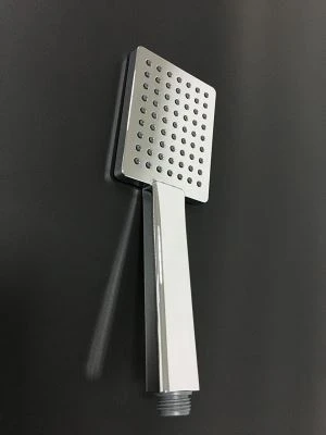 Pommeau de douche carré tenu dans la main de fonction simple avec la pleine finition de Chome